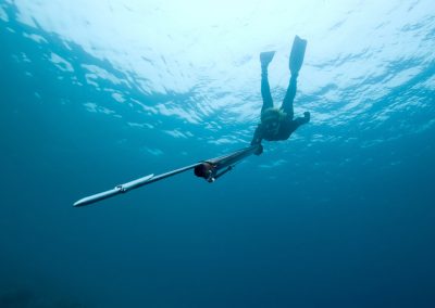 spearfishing
